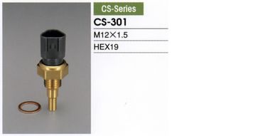 CS301 TAMA 