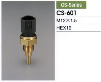 CS601 TAMA